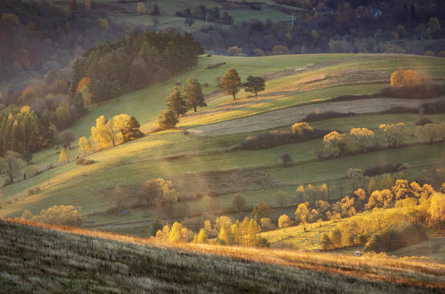 ,  Mirosław Pruchnicki