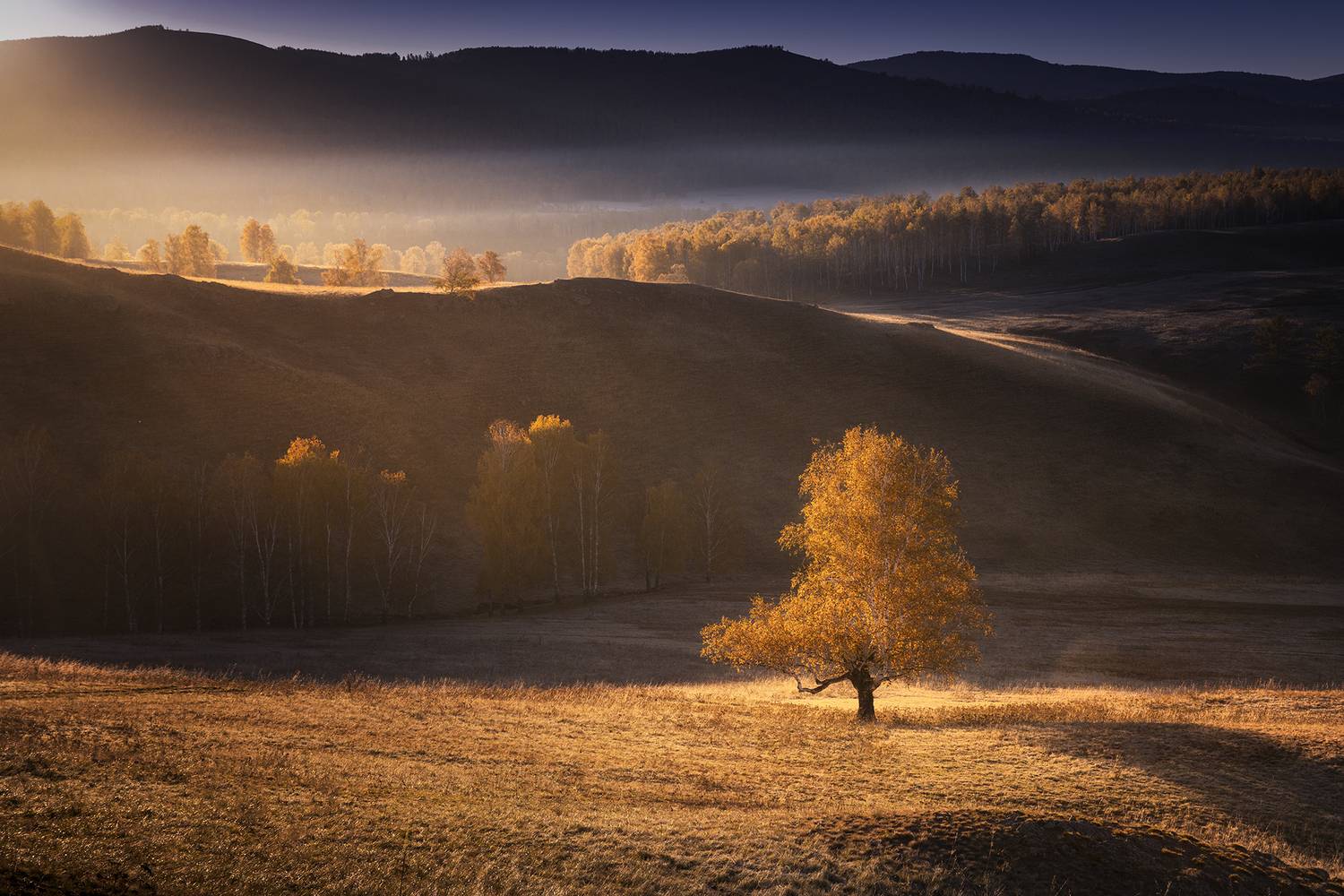 , Бирюкова Татьяна