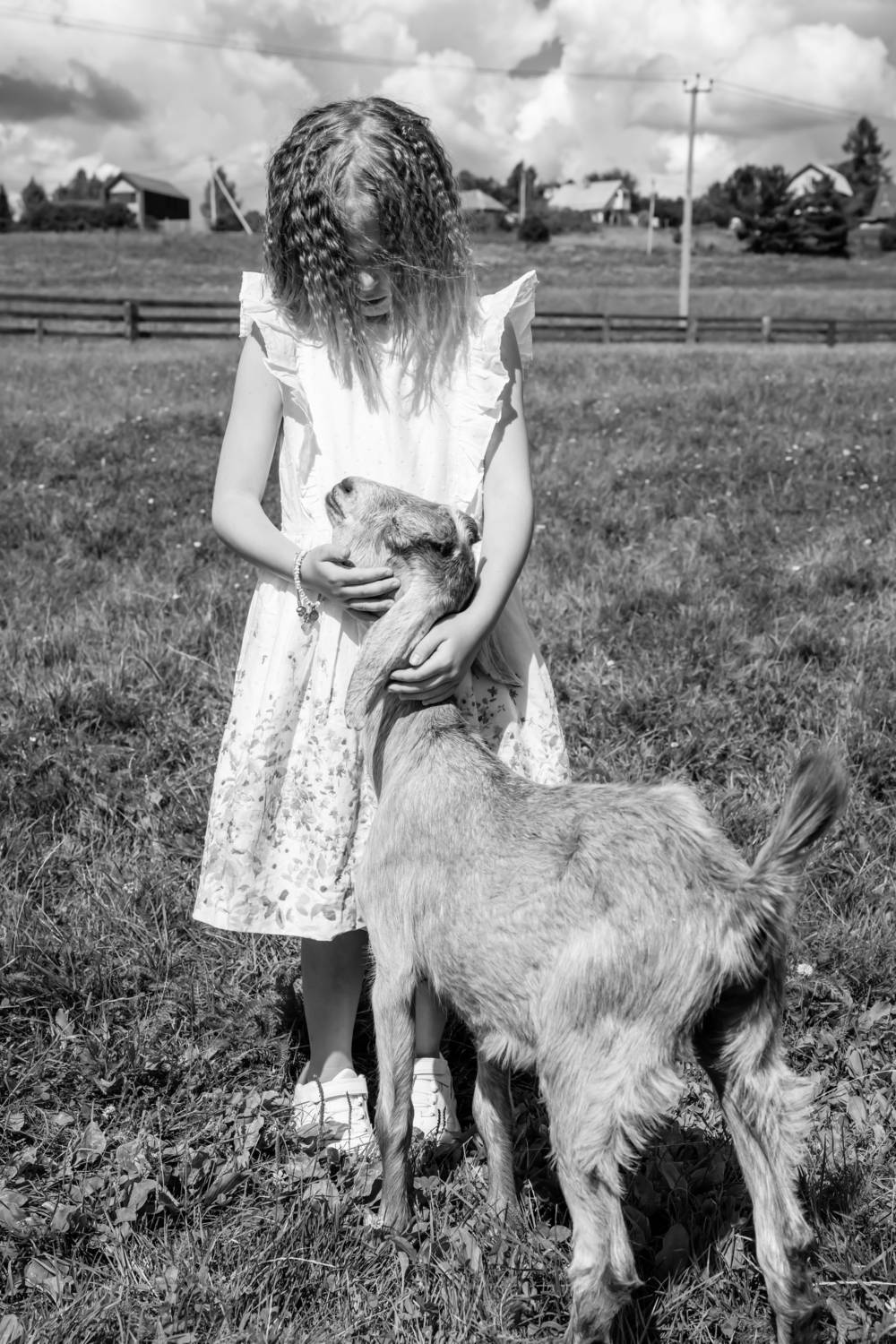 , Александр Шилов