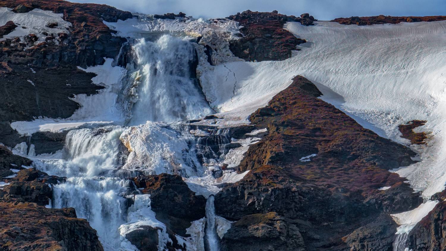 , Шварцман Евгений