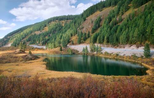 Осенние краски Алтая