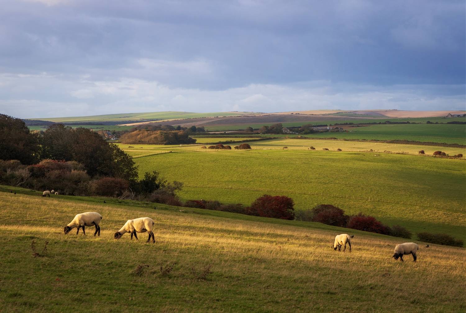 , Алекс Римский