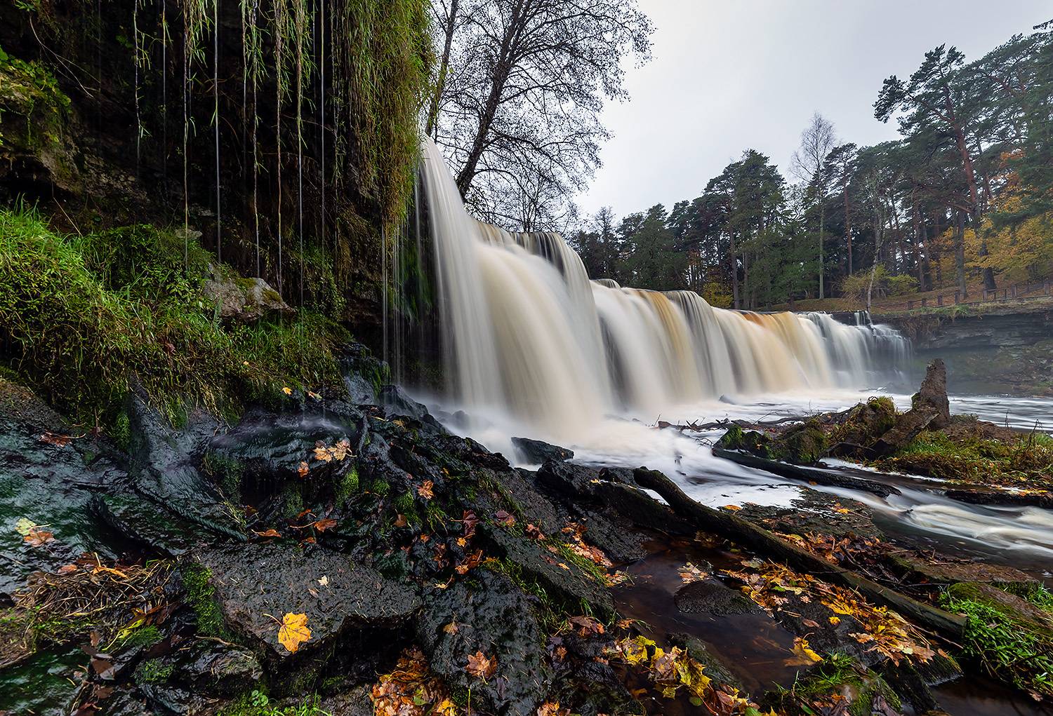 , Абросимов Александр