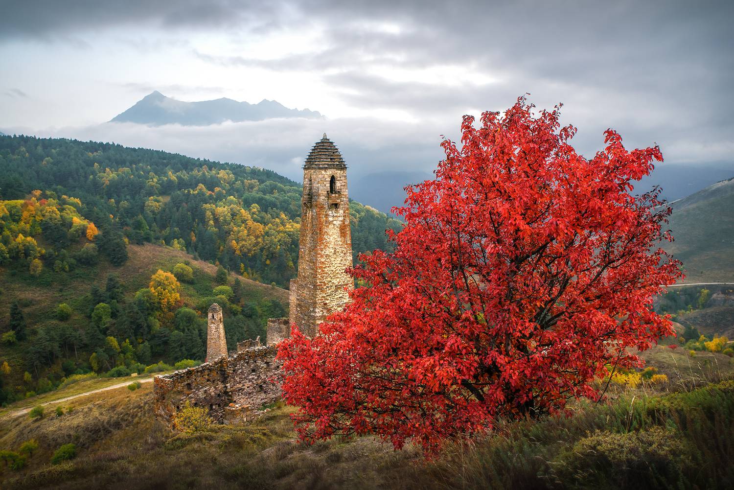 кавказ, горы, ингушетия, пялинг, башня, башни, осень в горах, осень, осенний пейзаж, архитектура, краски осени, Zakharov Armen