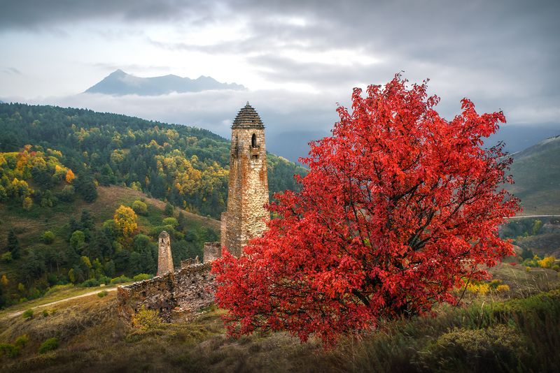 кавказ, горы, ингушетия, пялинг, башня, башни, осень в горах, осень, осенний пейзаж, архитектура, краски осени Чардрево фото превью