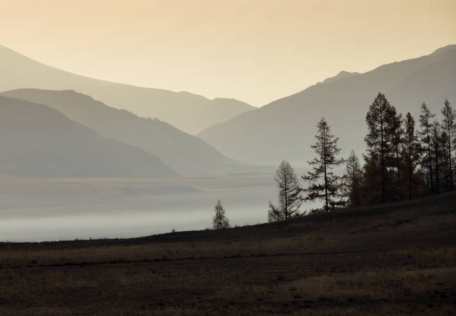 Курай, Алтай, Галина Хвостенко