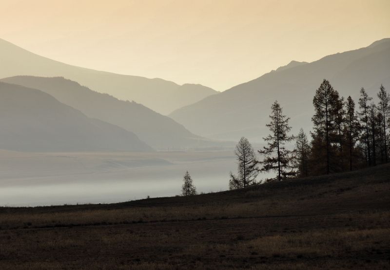 Курай, Алтай В утренней дымке фото превью
