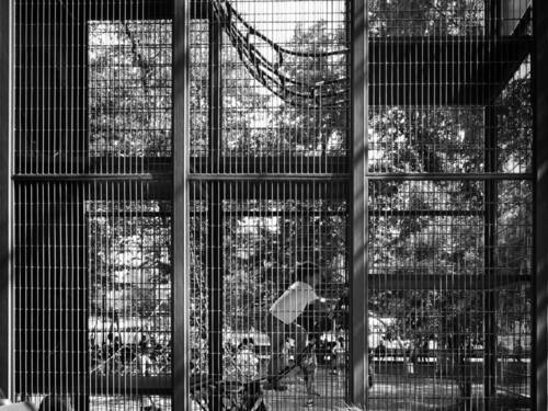 Мой ребенок под защитой!