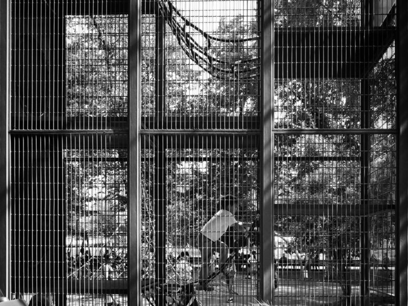 клетка, защита, ребенок Мой ребенок под защитой! фото превью