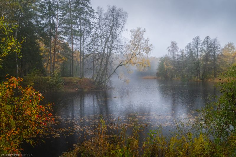 Дождик фото превью