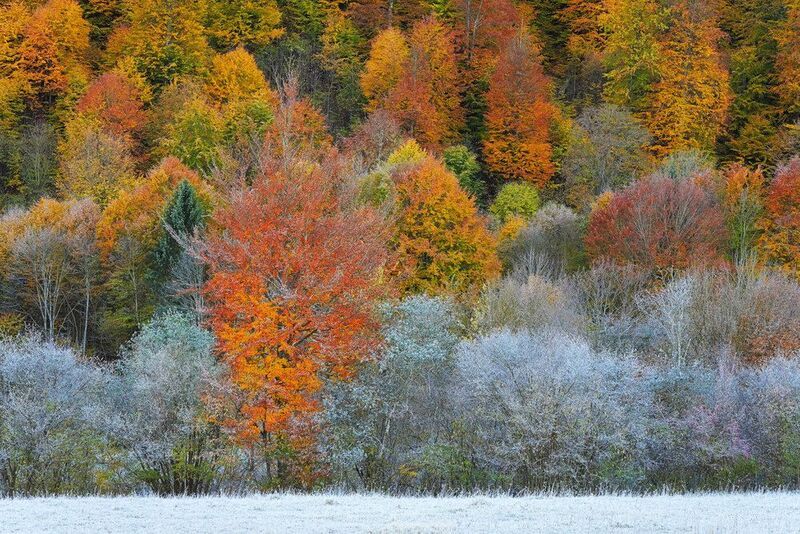 2025 фото превью