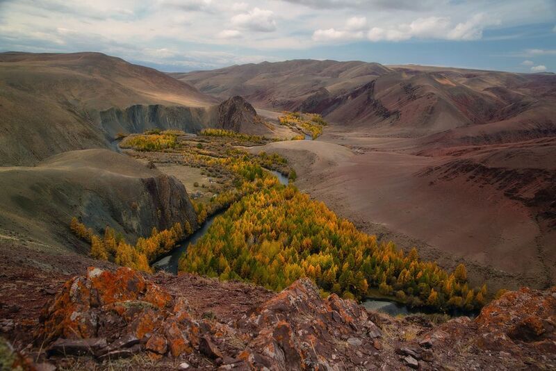 Оазис в Чуйской степи фото превью