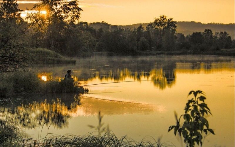 Река, заря, рыбак На утренней зорьке фото превью