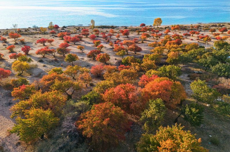 иссы-куль горы кыргызстан *** фото превью