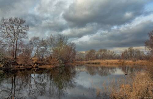 Вечер на озере