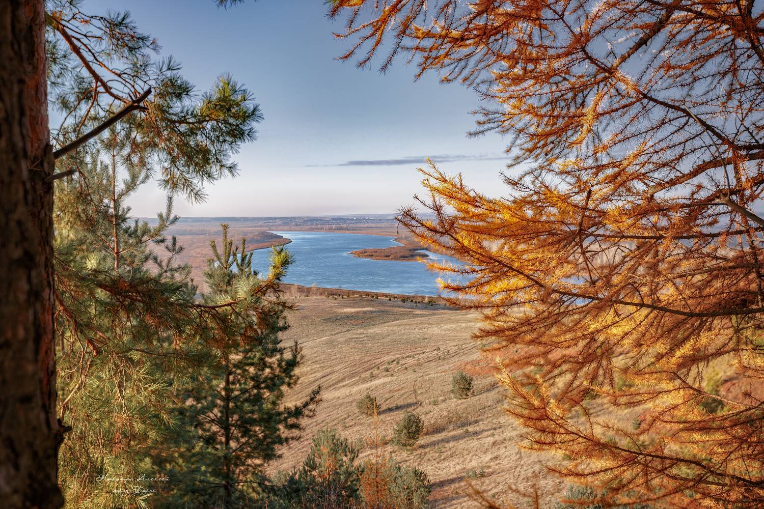 , Никитин Алексей