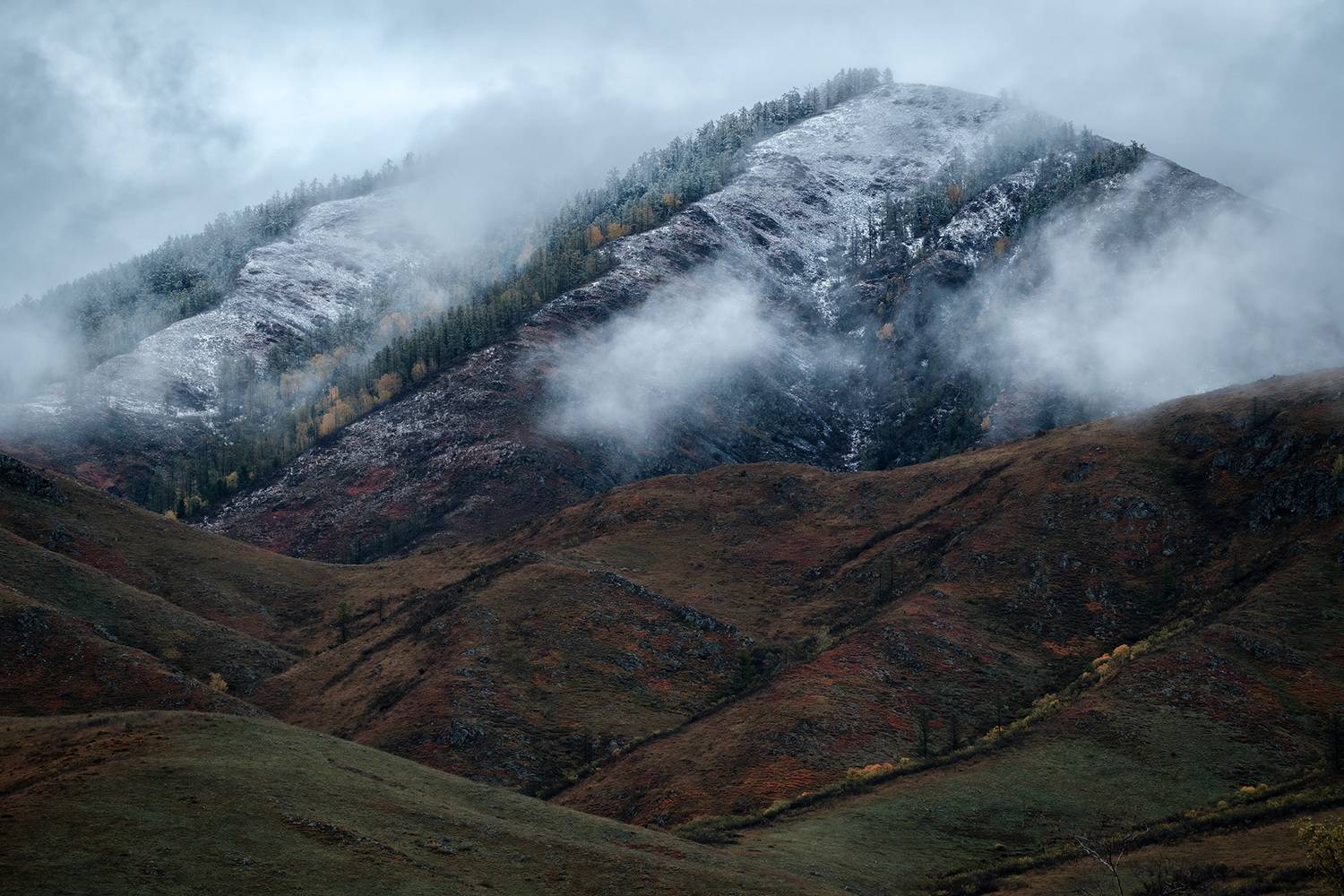 , Бодрягин Виталий