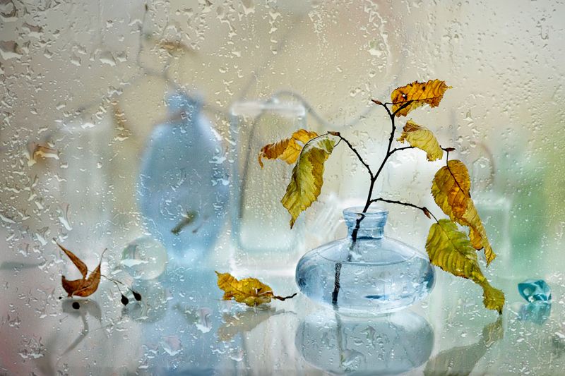 натюрморт, осень, ветка, бутылка, ваза, стекло Ветка осени фото превью