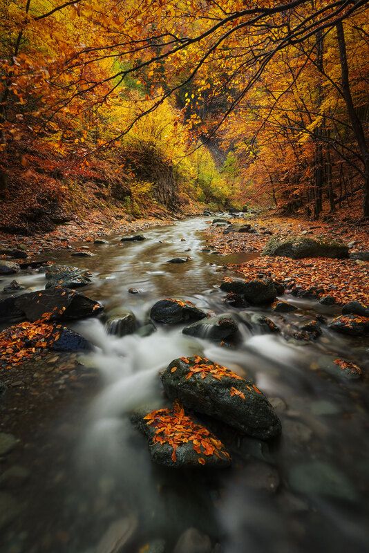 2025 фото превью