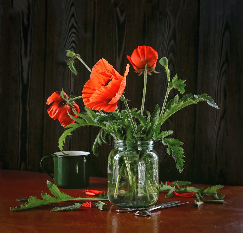 натюрморт, фотонатюрморт, still life, stillifefoto, лето, маки, цветочный_натюрморт, наталья_казанцева Из сада. /Размещала ранее, подрихтовала/ фото превью