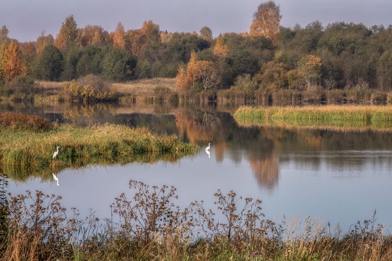 Тверская область Осень фото превью