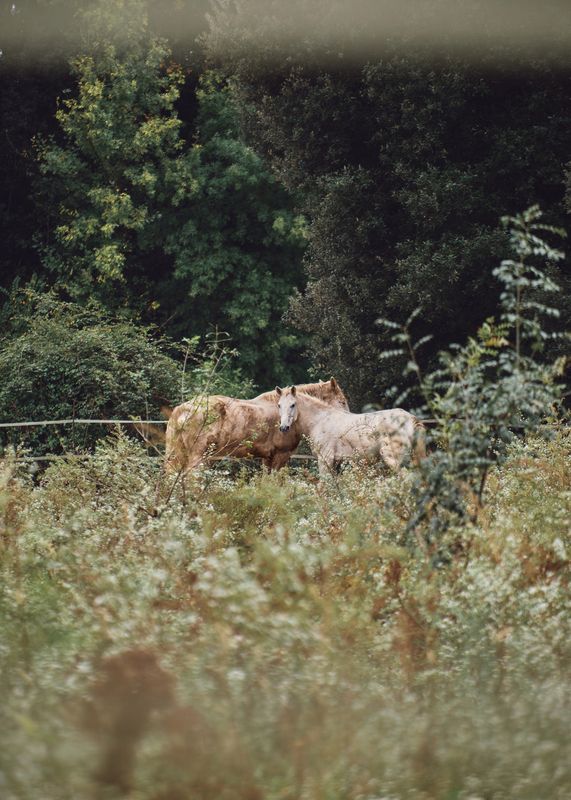 [fall] фото превью