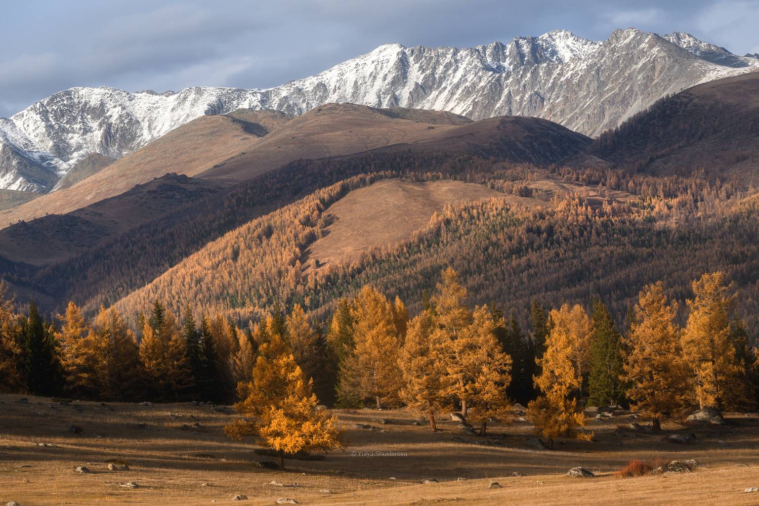 , Юлия Шустерова