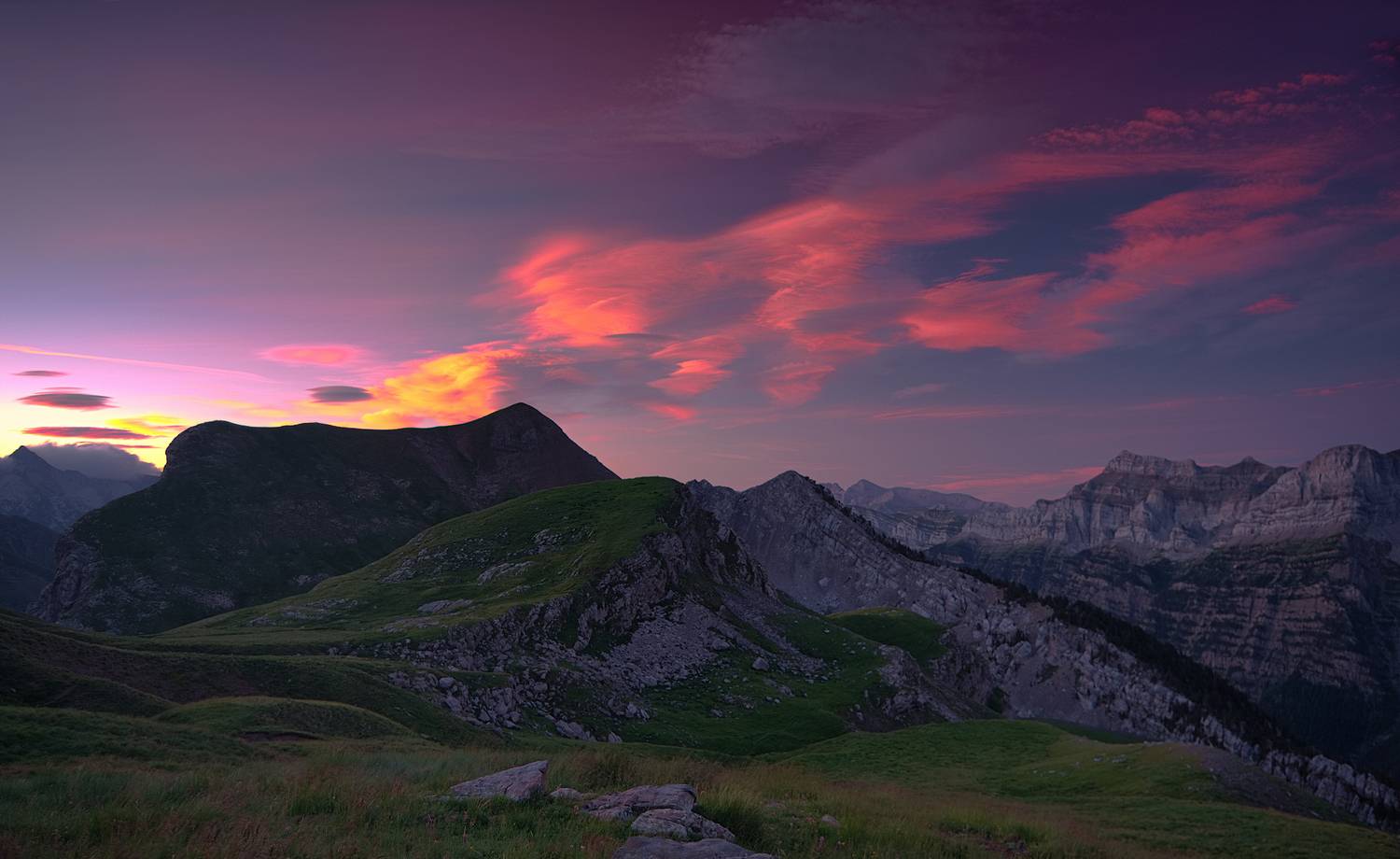 , Wojciech Tarnowski