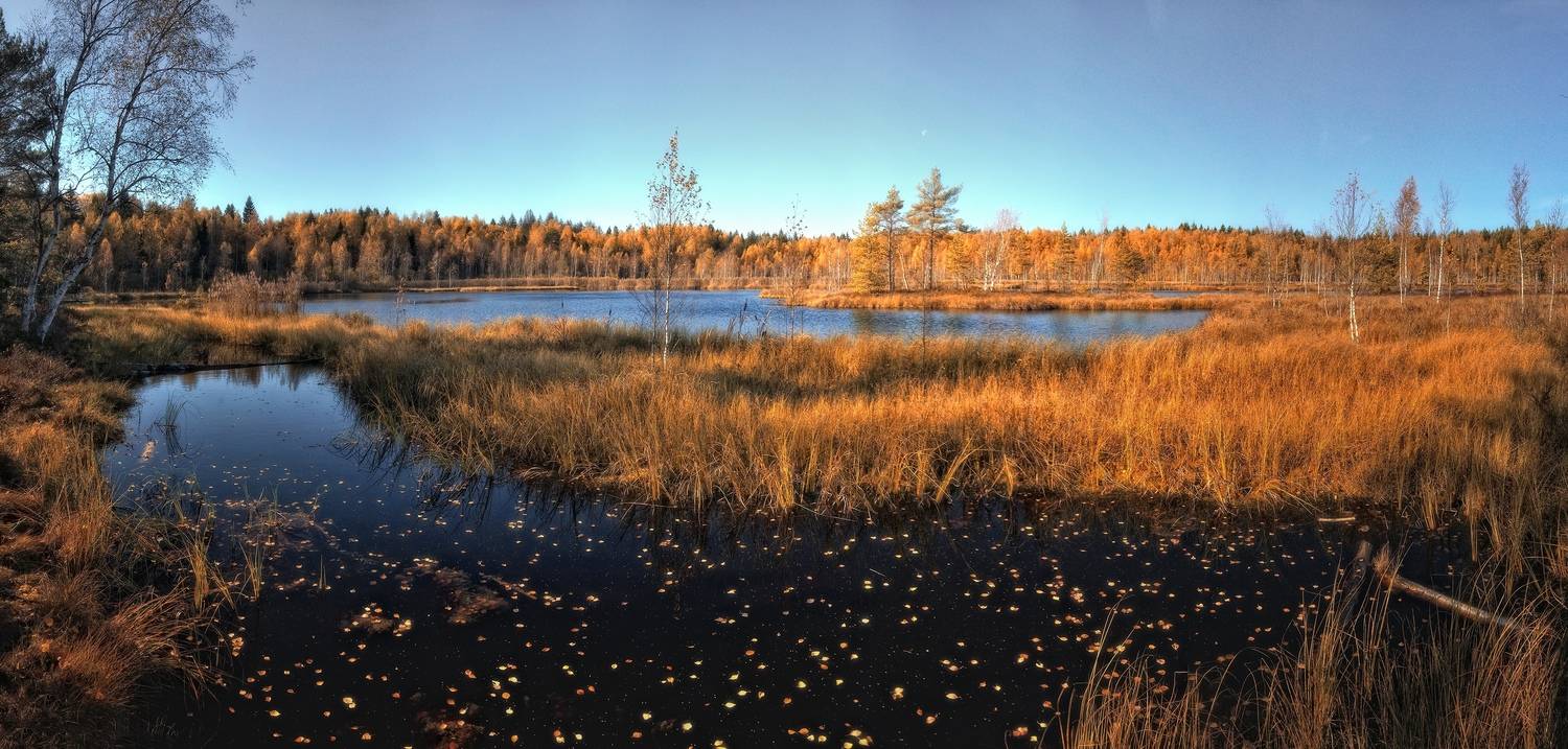 , Алексей Никонов