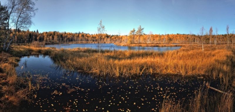 Золото и бронза фото превью