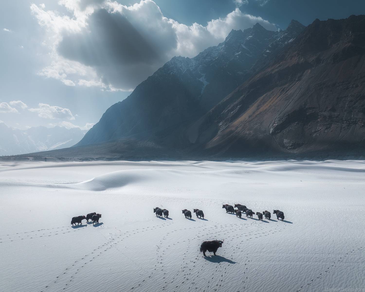 , Даниил Коржонов