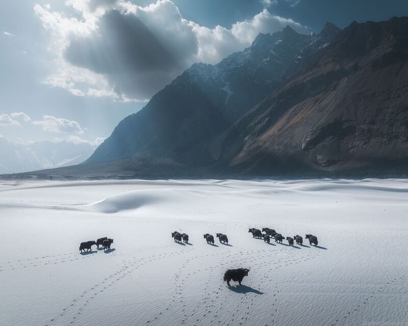 Pakistan
