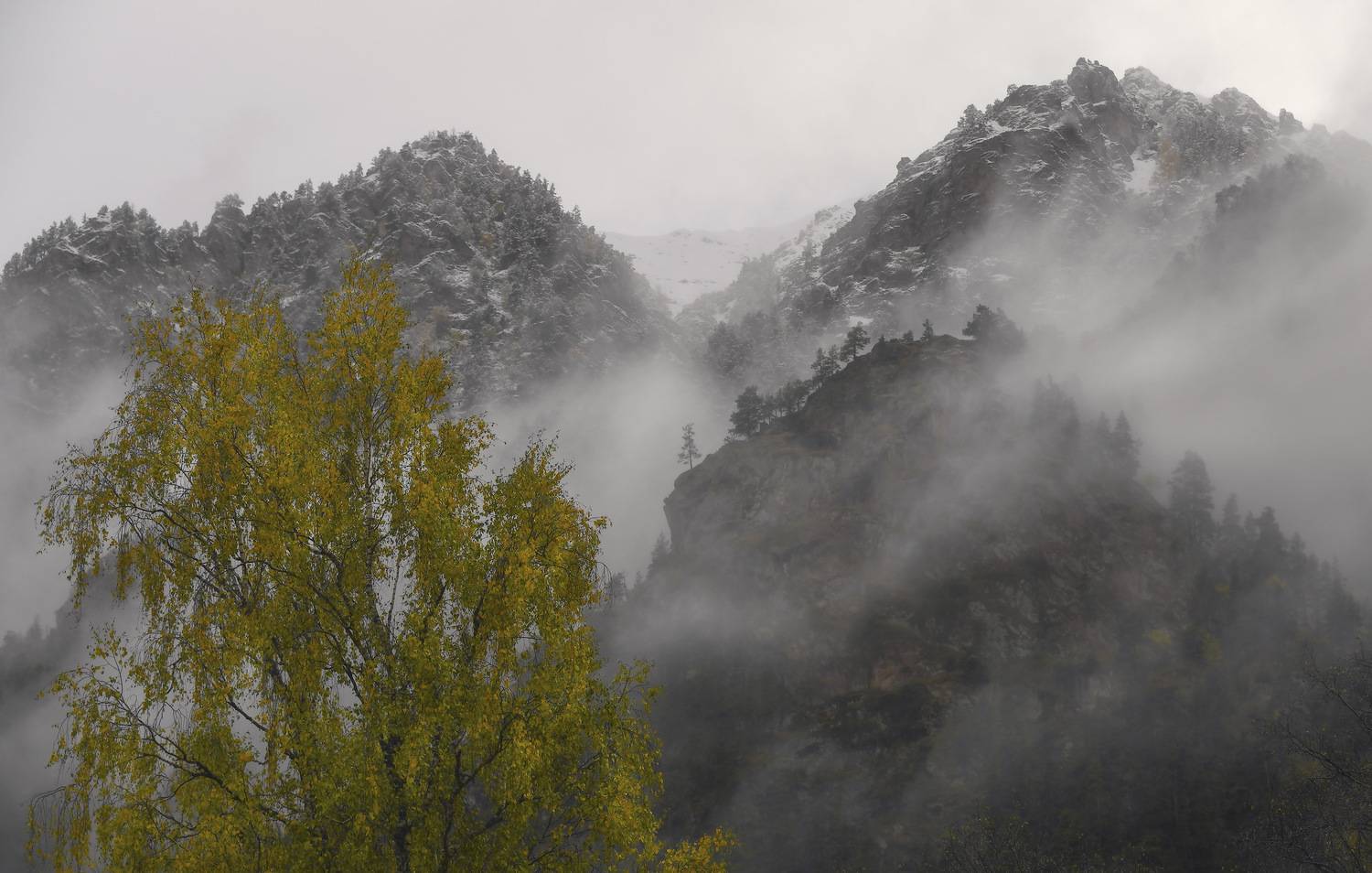 , Пирог Борис