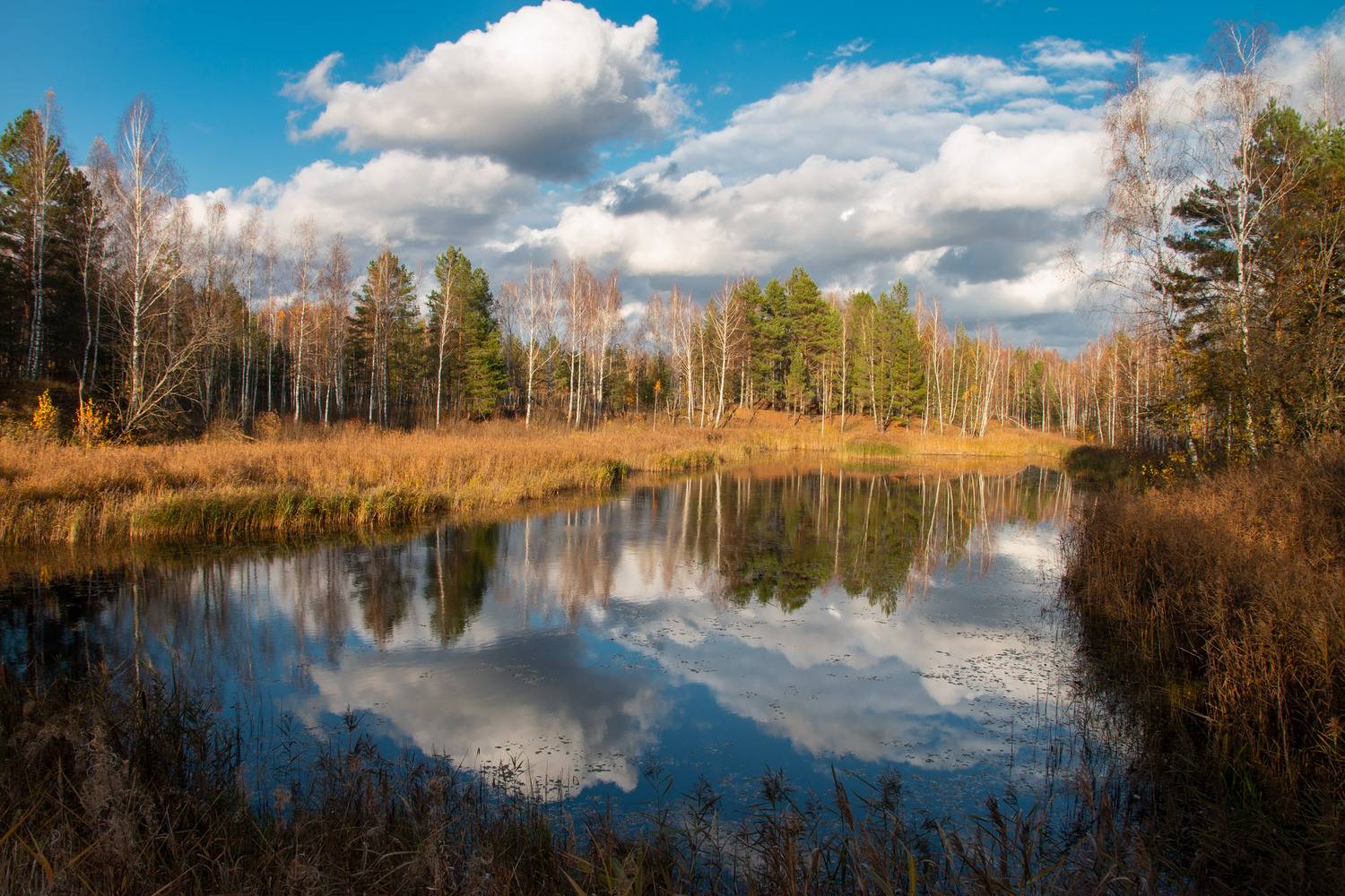 , Александр