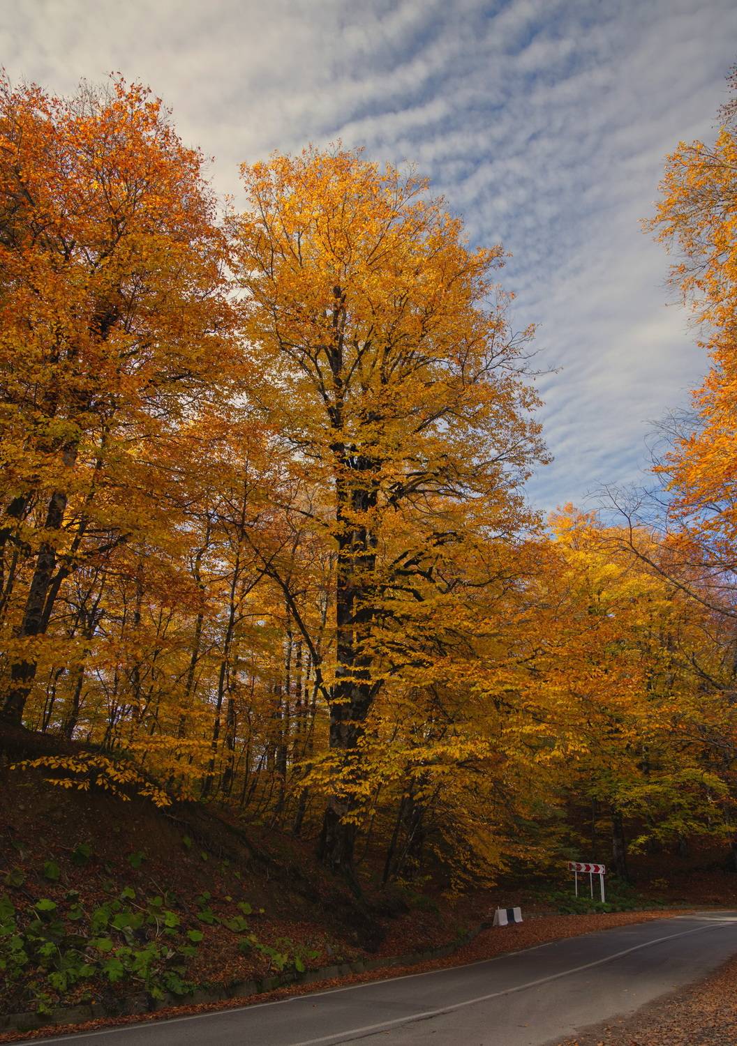 , Игорь Щербаков