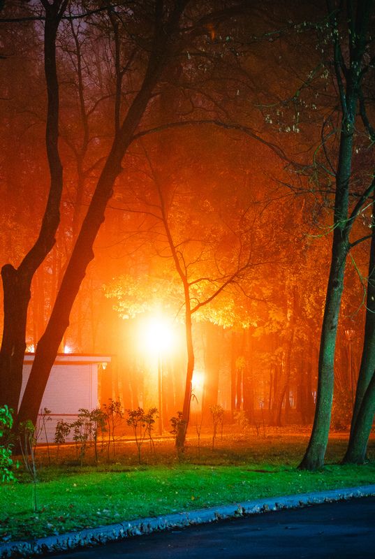 Тульский парк фото превью