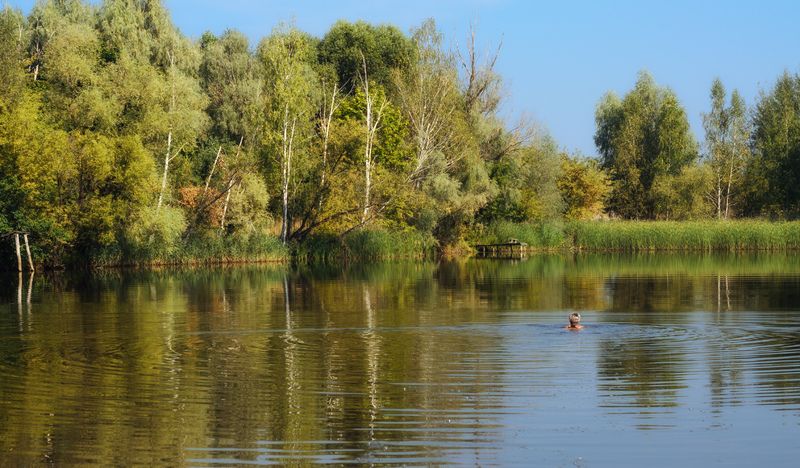 Окунуться в осень. фото превью