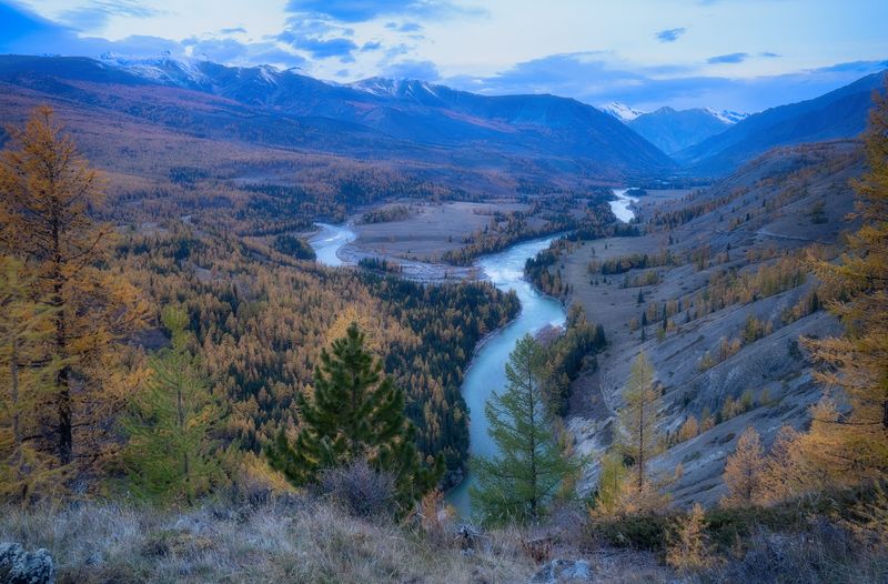 алтай горы лес утро пейзаж красивый излучины река Осенняя фото превью