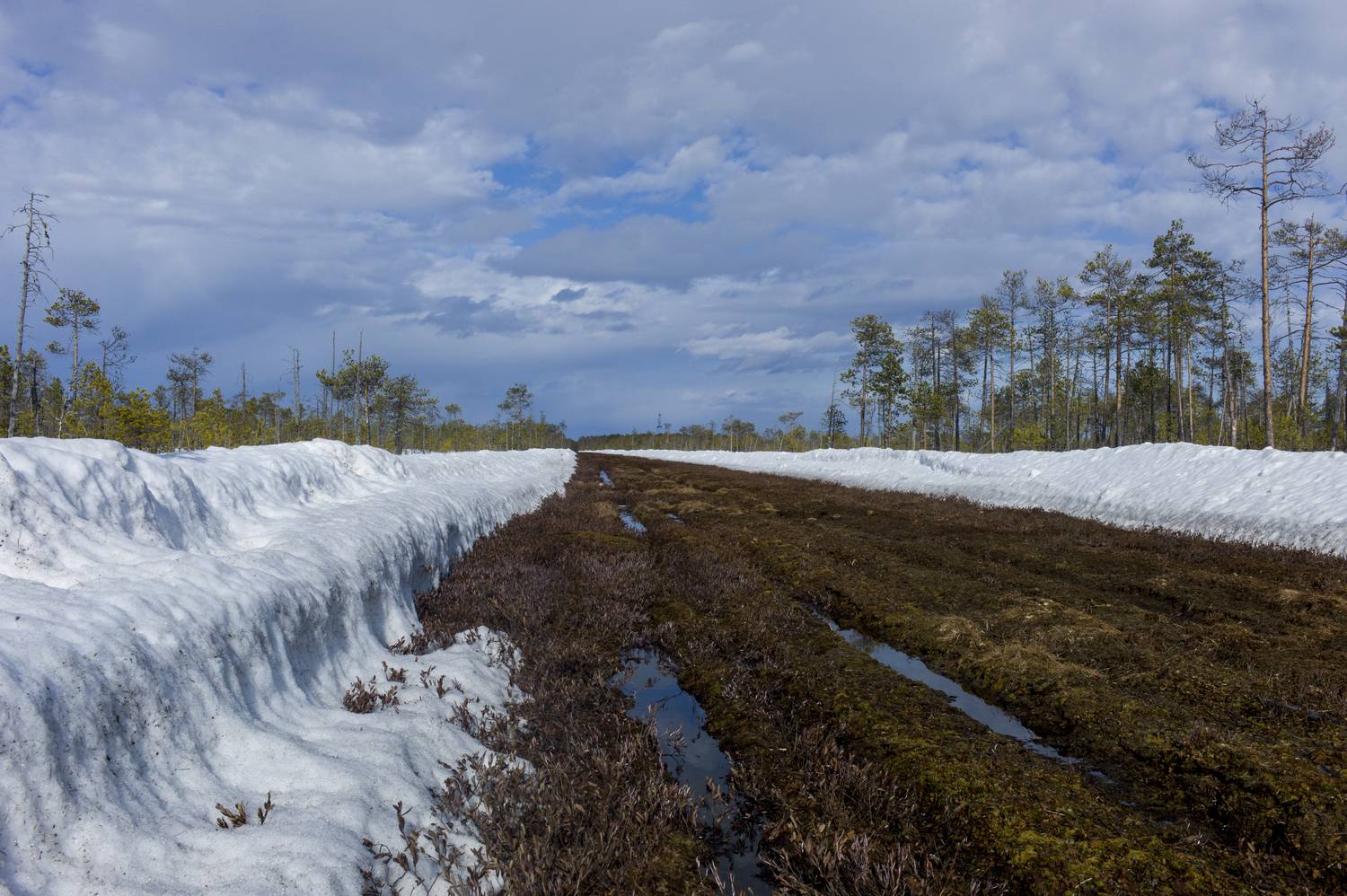 , Дронов Михаил