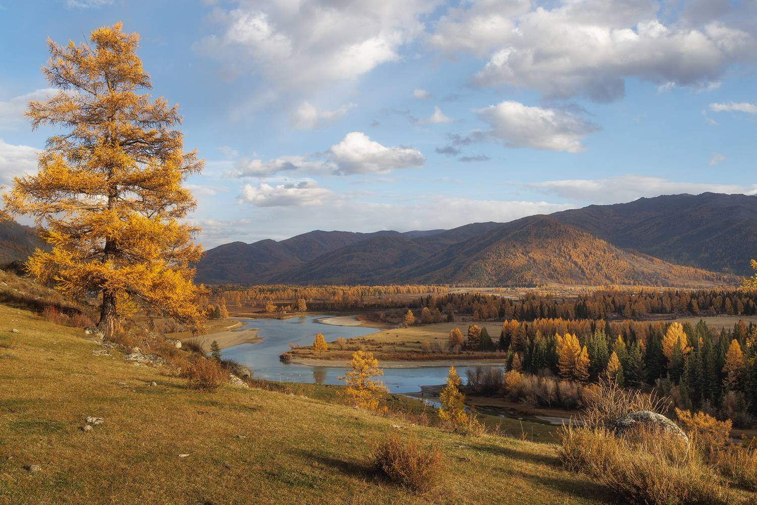 , Морозов Сергей