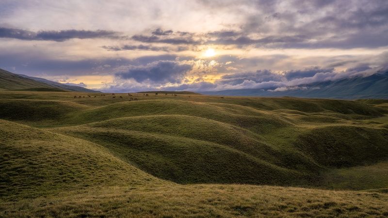 пастбища-холмы фото превью