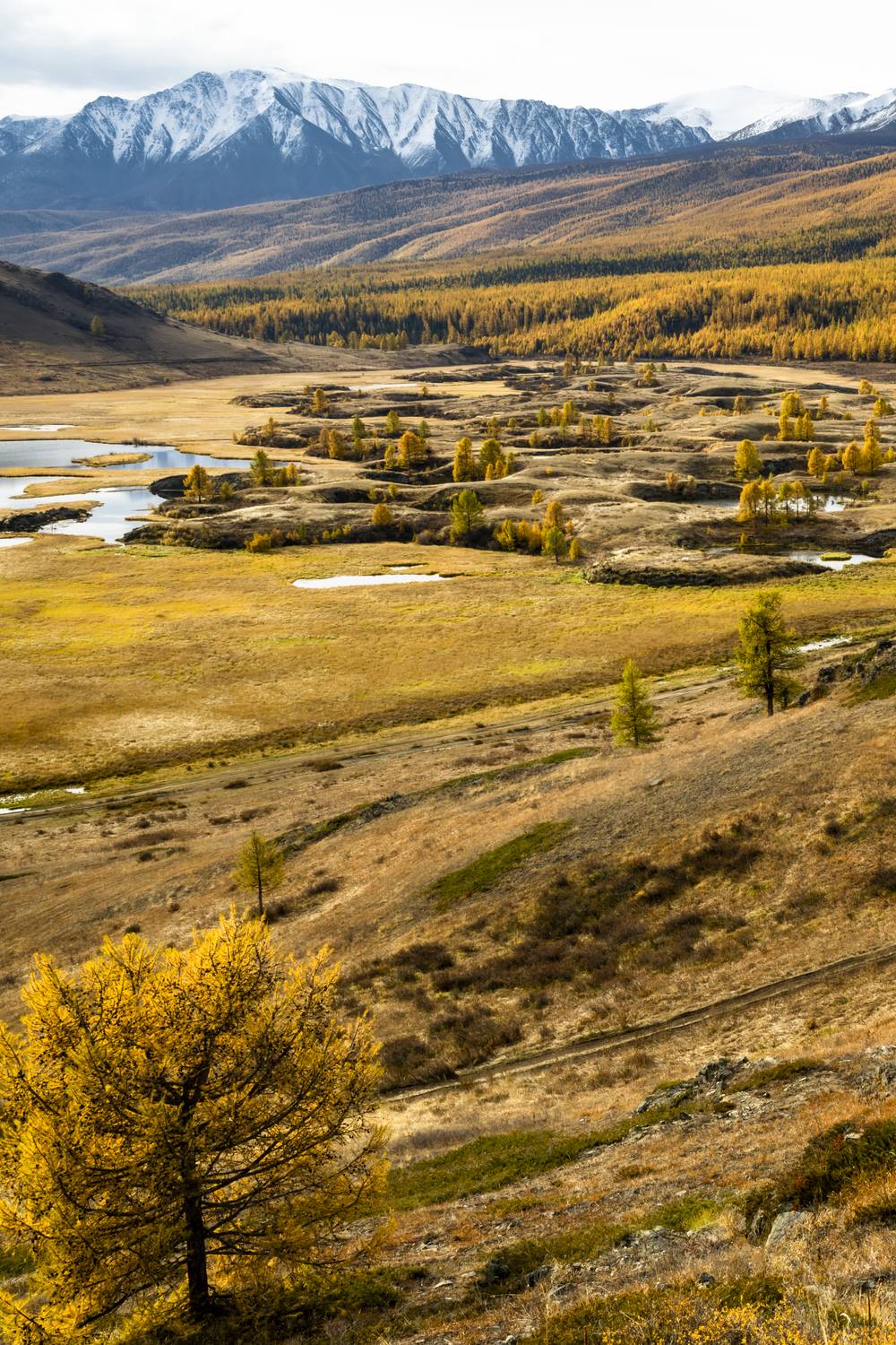, Геннадий Кравченко
