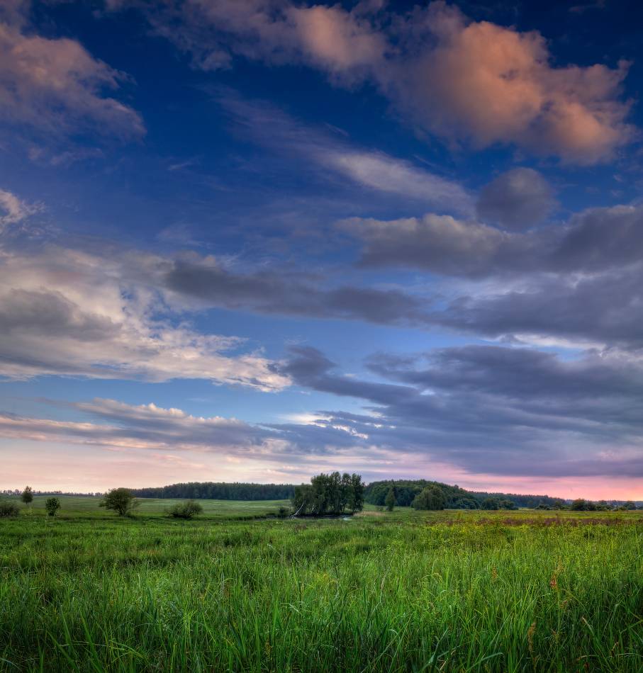 вечер, весна, поле, деревья, небо,, Сергей Шабуневич