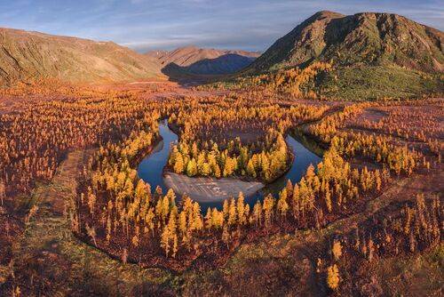 Повороты Пурги...