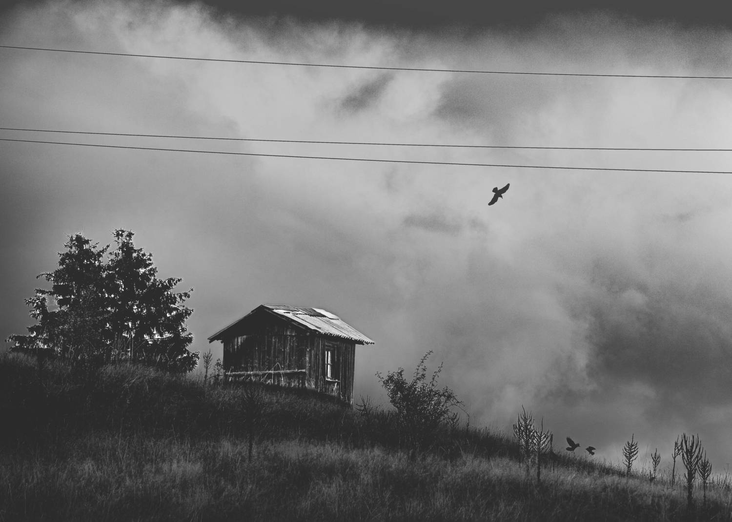 , Бобчева Веселина