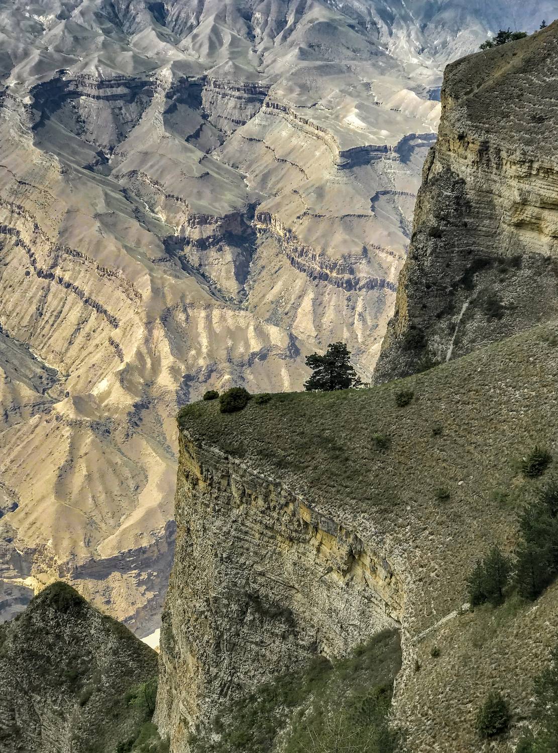 , Виктор Белименко