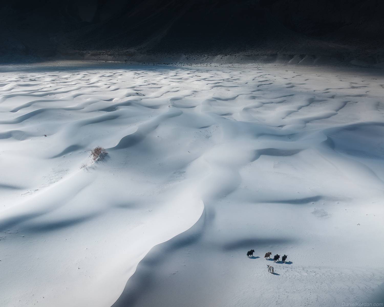 , Даниил Коржонов