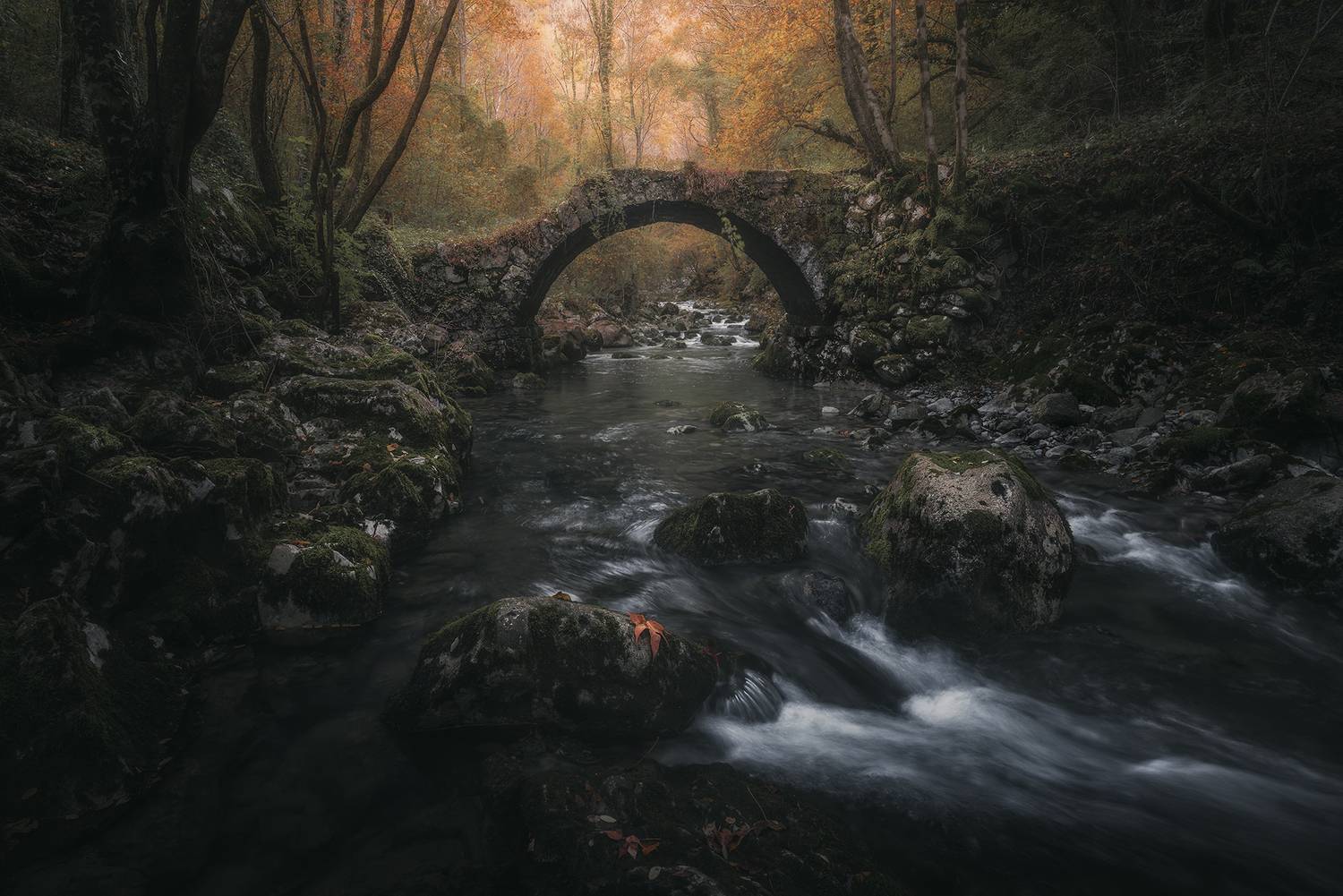 , de Franzoni Thomas