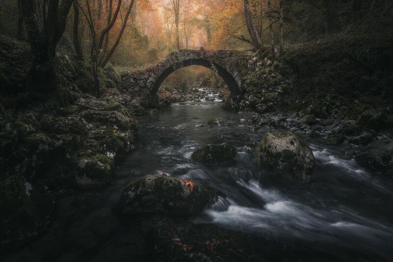 Crimson Passage фото превью