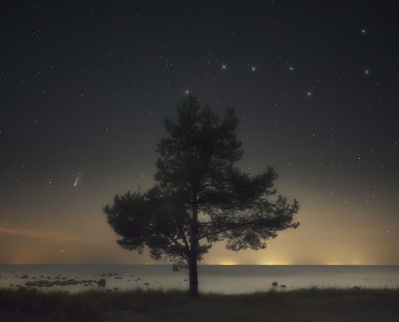 ночь, астропейзаж, комета, lemmon Ночь, дерево, залив, комета. фото превью